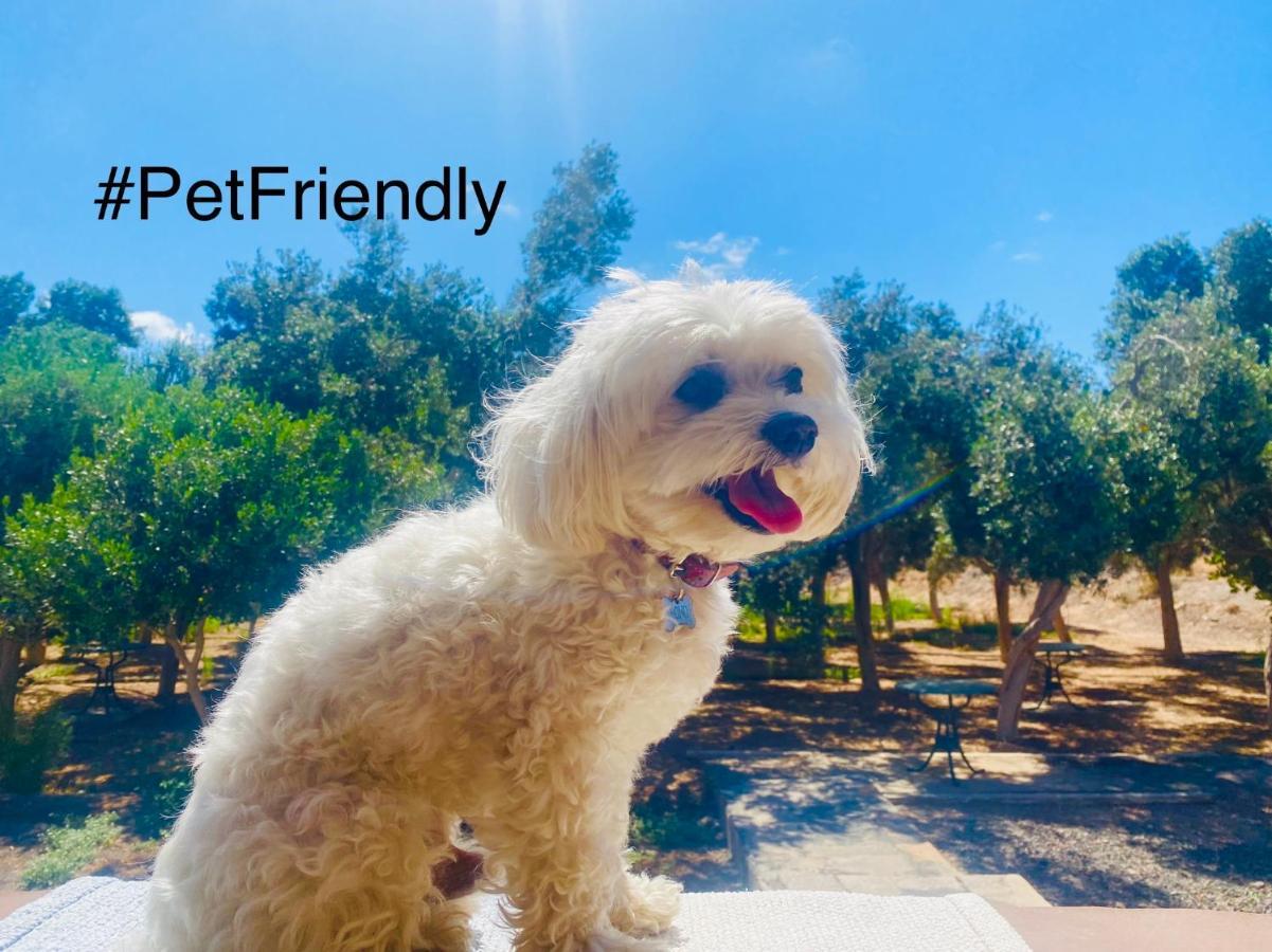 Bungalow Sequero #Pet Friendly Tuineje 외부 사진